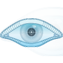 zenmap(端口漏洞扫描工具)v8.0 汉化版-字节律动