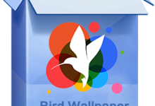 360小鸟壁纸v3.6.0.1080 官方版-字节律动