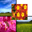Youfeng Photocomposer(图像合成与排版)v1.3 官方版-字节律动