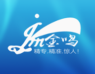 金鸣文表识别系统v2018 免费版-字节律动