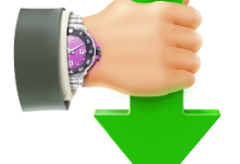 Internet Download Accelerator Pro(IDA下载器)官方中文版V6.17.2.1613-字节律动