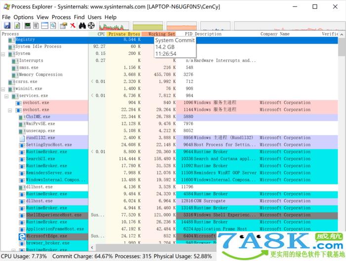 Process Explorer 任务管理器