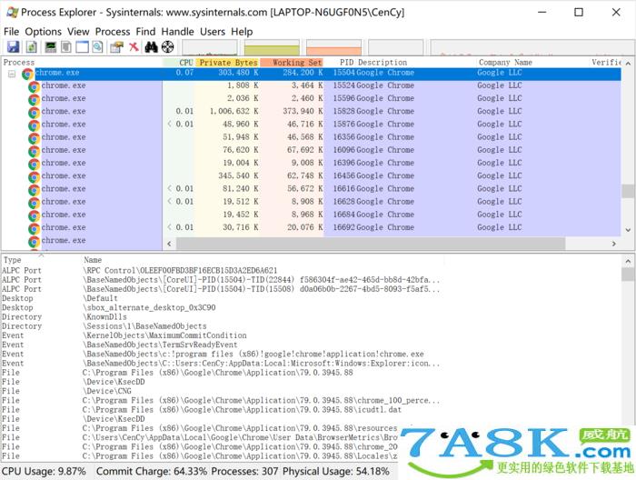 Process Explorer 任务管理器