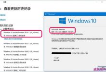 Win10 1903怎么手动更新升级到慢速预览版19013.1122?-字节律动