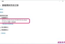 Win10 20H1快速预览版19023怎么手动更新?-字节律动