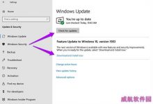 Win10专业版下Light主题不工作怎么办?-字节律动