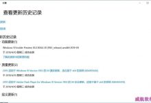 Win10 20H1快速预览版18875怎么手动更新升级?-字节律动