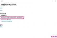 Win10 19H1快速预览版18361.1怎么手动更新升级?-字节律动