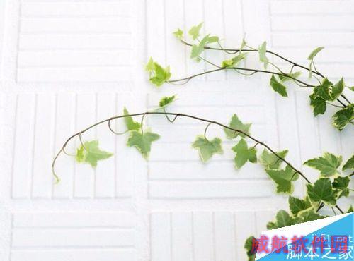 怎么在电脑上设置韩文输入法？