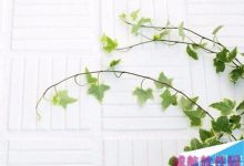 win10系统怎么设置韩文输入法?-字节律动