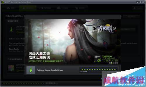 windows10系统更新NVIDIA英伟达显卡驱动的步骤5