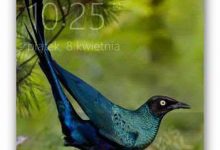 Win10一周年更新移动版14316截图曝光 包含不少新变化-字节律动