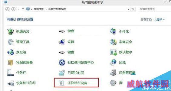 Win10系统开启生物识别功能的方法