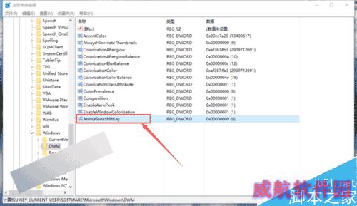 Win10系统怎么设置窗口动画慢放