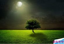 Win10个性化颜色怎么设置？Win10个性化主题颜色设置方法-字节律动