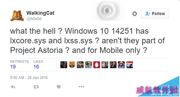 Win10 RS1预览版14251或包含神秘Linux子系统