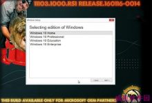 Win10 RS1预览版11103系统ISO英文版镜像下载-字节律动
