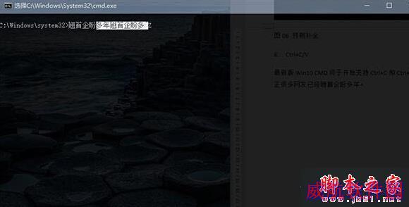 复制与粘贴