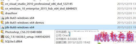 windows10系统安装java的步骤5