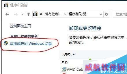 Win10系统删除Windows Media Player12的步骤3