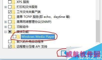 Win10系统删除Windows Media Player12的步骤5.2