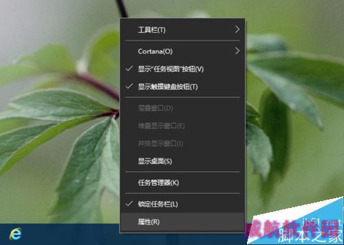 怎么从 Win10 的任务栏上删除时钟