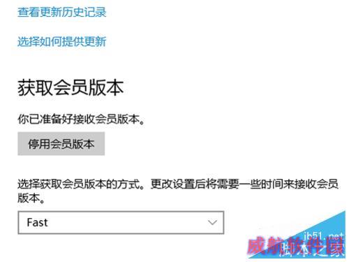 win10系统更新没有快速选项怎么办?