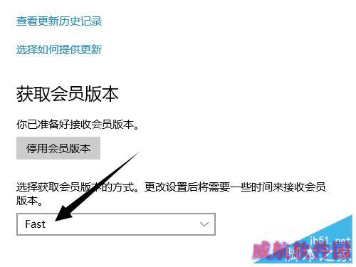 win10系统更新没有快速选项怎么办?