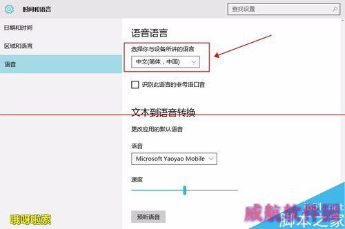 win10 小娜  没声音