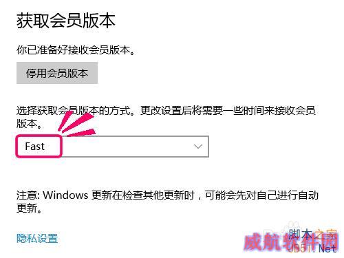 win10没有收到更新通知,怎么最快获取最新版更新