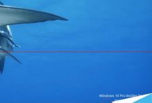 windows 10系统DHCP未指派致网络连接受限的详细解决办法-字节律动