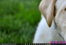 Win10 10130任务栏带来新的下载进度指示动画展示-字节律动