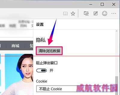 win10浏览器Microsoft Edge设置