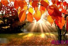 win10手机正式版什么时候发布 win10手机正式版发布时间-字节律动