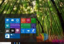 Windows 10 Build 10074为什么没有毛玻璃效果?-字节律动