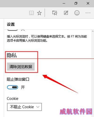 win10斯巴达浏览器清理浏览器缓存教程