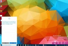 Win10 Build 9901 泄露 改进细节画廊-字节律动