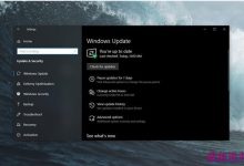 微软2019 Win10更新五月版正式版推送(最低配置需求公布)-字节律动