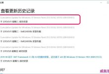 Win10 19H2慢速预览18362.10022怎么手动更新升级?-字节律动
