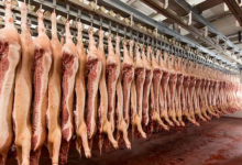 excel抓取9000条猪肉价格网页数据来看下- excel技巧汇总-字节律动