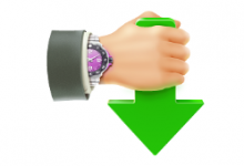 Internet Download Accelerator Pro(IDA下载器)绿色便携版V6.21.1.1675-字节律动