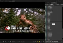 Daum PotPlayer(视频播放器)官方中文版V1.7.21589 | potplayer怎么看在线视频-字节律动