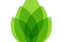 芦笋录屏软件(电脑屏幕录制软件)官方中文版V1.0.0下载 | 好用免费的录屏软件-字节律动