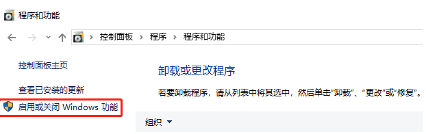 程序和功能