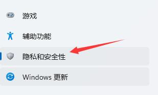隐私和安全性