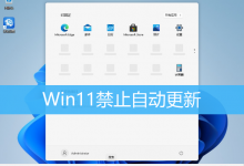 Win11禁止自动更新|如何让Win11不更新-字节律动
