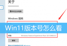 Win11版本号怎么看|Win11查询版本号方法-字节律动