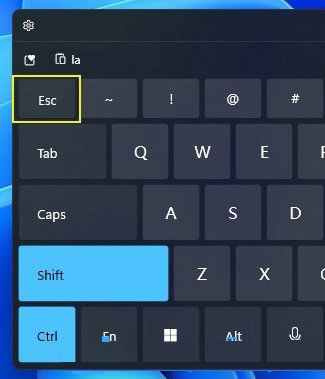 ctrl + shift + Esc