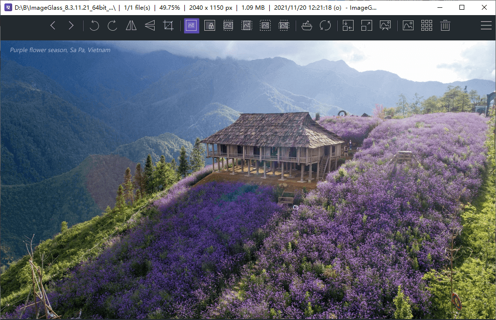 看图神器ImageGlass v8.3.11.21优化版 开源看图工具