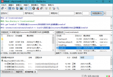 FileZilla PRO中文版 v3.56.1专业版-字节律动